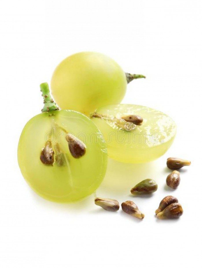 Uvas - Reprodução de Internet