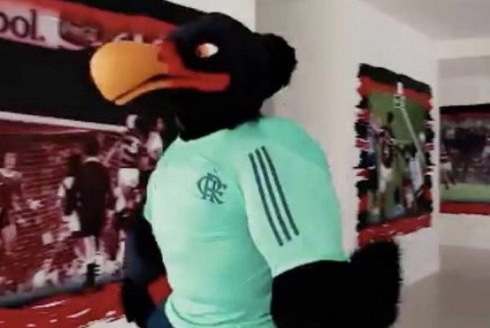 Novo mascote do Flamengo