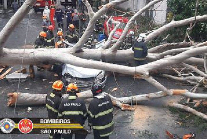 A queda de uma árvore sobre um veículo causou a morte de uma mulher na Vila Mariana, na capital paulista