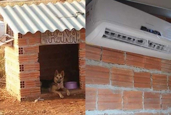 Casinha de cachorro com ar condicionado viraliza nas redes sociais