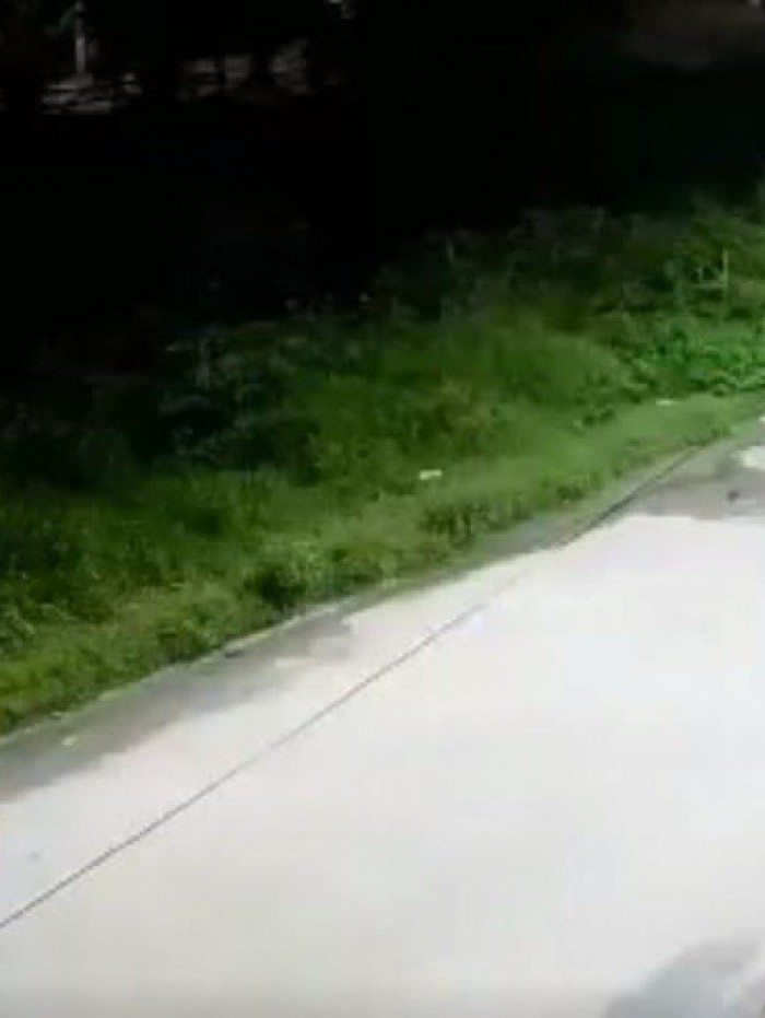 PMs executaram dois jovens ap&oacute;s abordagem violenta em Belford Roxo, na Baixada Fluminense.