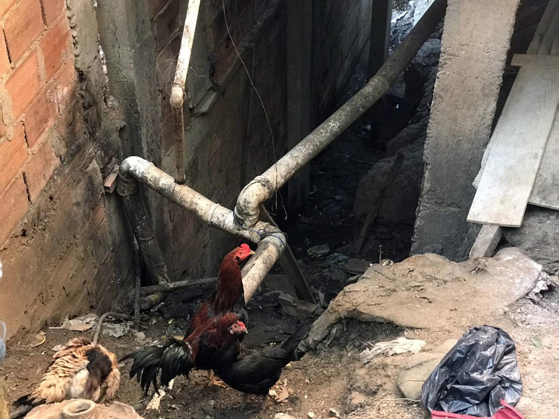 Os moradores do Preventório criaram um canal com a concessionária que fornece água para a região - Preventório Sem Água / Divulgação