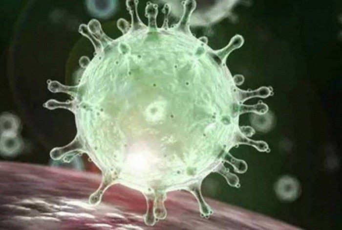 A nova cepa do coronavírus (Sars-Cov-2), identificada pela primeira vez no Reino Unido e considerada ainda mais contagiosa