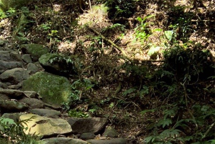 Mariana Goldfarb e Cau&atilde; Reymond 