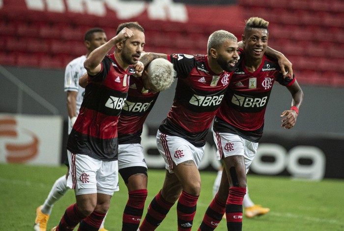 Flamengo luta pelo título do Brasileiro