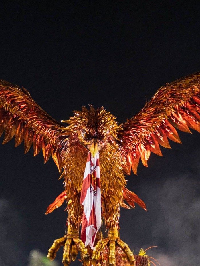 Desfile da Unidos do Viradouro 2019, Viraviradouro, carnavalesco Paulo Barros, Alegoria da FÃªnix. Imagem da exposiÃ§Ã£o fotogrÃ¡fica â.?Das Cinzas Voltar, Nas Cinzas Vencer, Viradouro de Alma Lavada, MAC NiterÃ³i (Museu de Arte ContemporÃ¢nea de NiterÃ³i). FotÃ³grafos Renata Xavier e Leandro Lucas. Carnaval, Folia, Alegoria, Fantasia, Desfile das Escolas de Samba, MarquÃªs de SapucaÃ­, SambÃ³dromo, Apoteose.