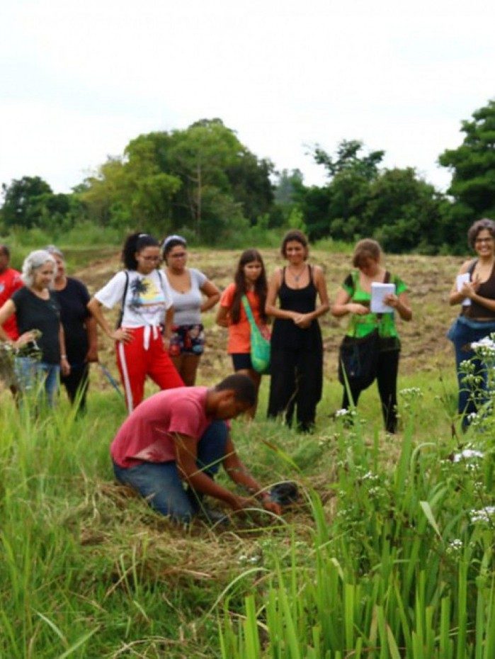 Ocupação Terra Prometida, em Duque de Caxias e Nova Iguaçu - Fabio Virgilio/Coletivo de Comunicação MST-RJ