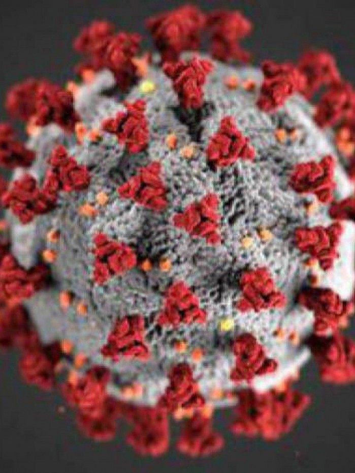 Nem todos os registros nos outros estados indicam que houve v&iacute;nculo epidemiol&oacute;gico com o Amazonas