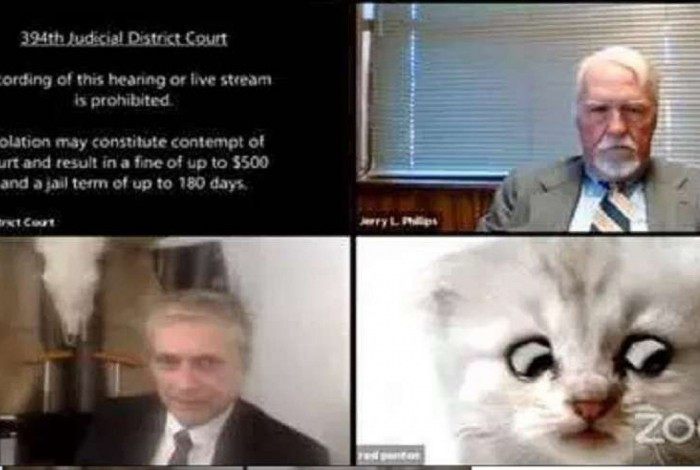 Durante audiência virtual, advogado ativa filtro de gato e viraliza na web