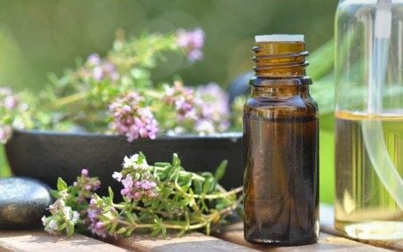 Conheça os florais que ajudam a combater a compulsão alimentar 