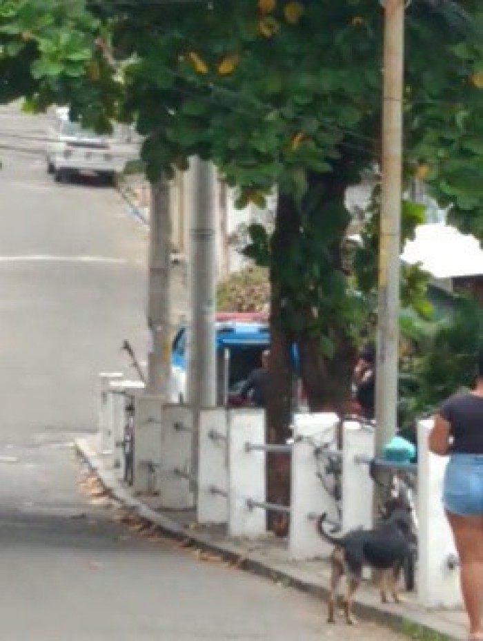 Tiroteio no Morro dos Macacos