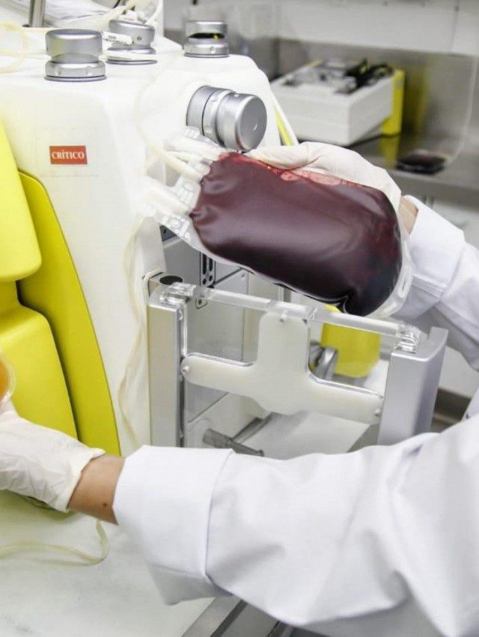 At&eacute; agora, mais de 300 pessoas foram beneficiadas com t&eacute;cnica

