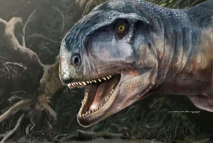 Nova espécie de dinossauro é descoberta na Argentina
