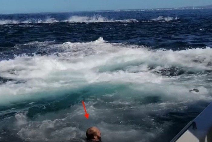 Homem caiu do barco com o impacto da baleia