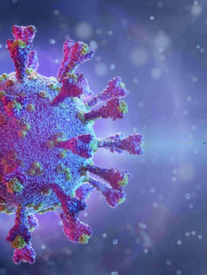 Novo coronav&iacute;rus