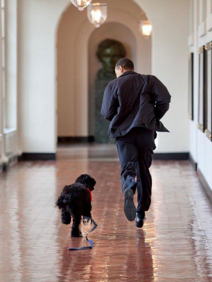 Barack Obama e seu c&atilde;o Bo