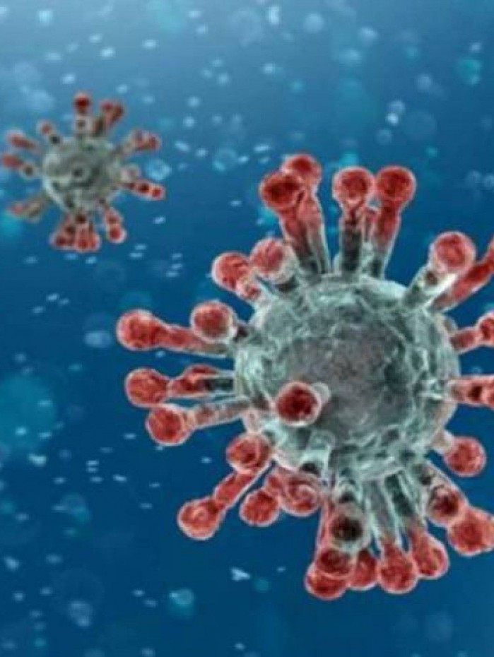 Novo coronav&iacute;rus