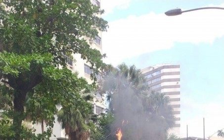 Vento forte derruba árvores em diversos pontos da cidade