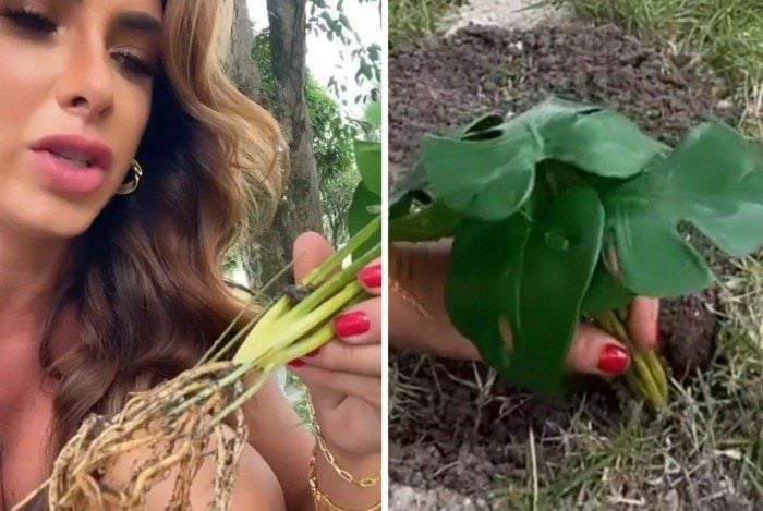 Nicole Bahls descobre que plantou muda de plástico: 'Fiquei uma semana aguando'