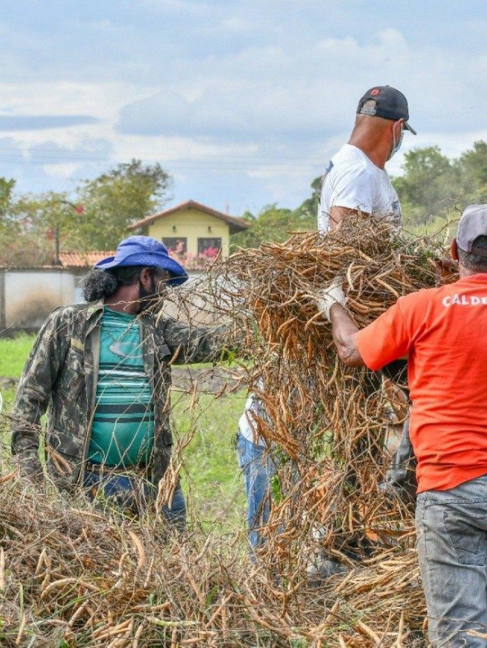 Com essa quantidade foi poss&iacute;vel ensacar 8 sacos de feij&atilde;o com 50 kg