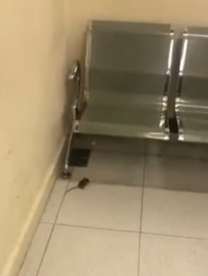 Uma inspe&ccedil;&atilde;o foi realizada por um bi&oacute;logo da equipe de Controle de Vetores da Companhia.