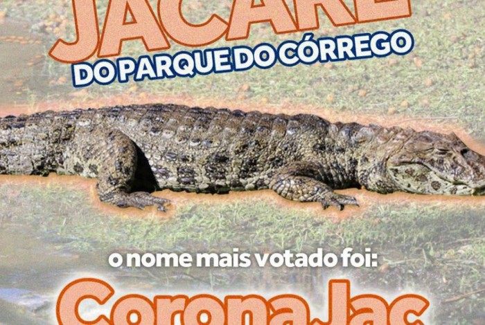Jacaré foi batizado com nome em alusão à vacina CoronaVac e fala de Bolsonaro 
