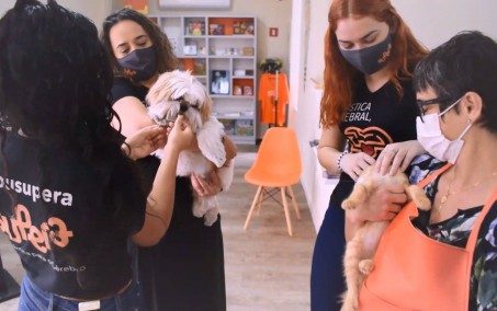 Evento em Nova Iguaçu estimula a adoção de animais