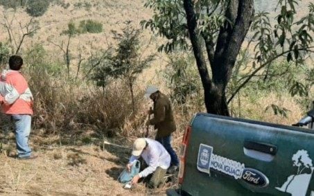 Prefeitura inicia projeto de reflorestamento na Serra do Vulcão