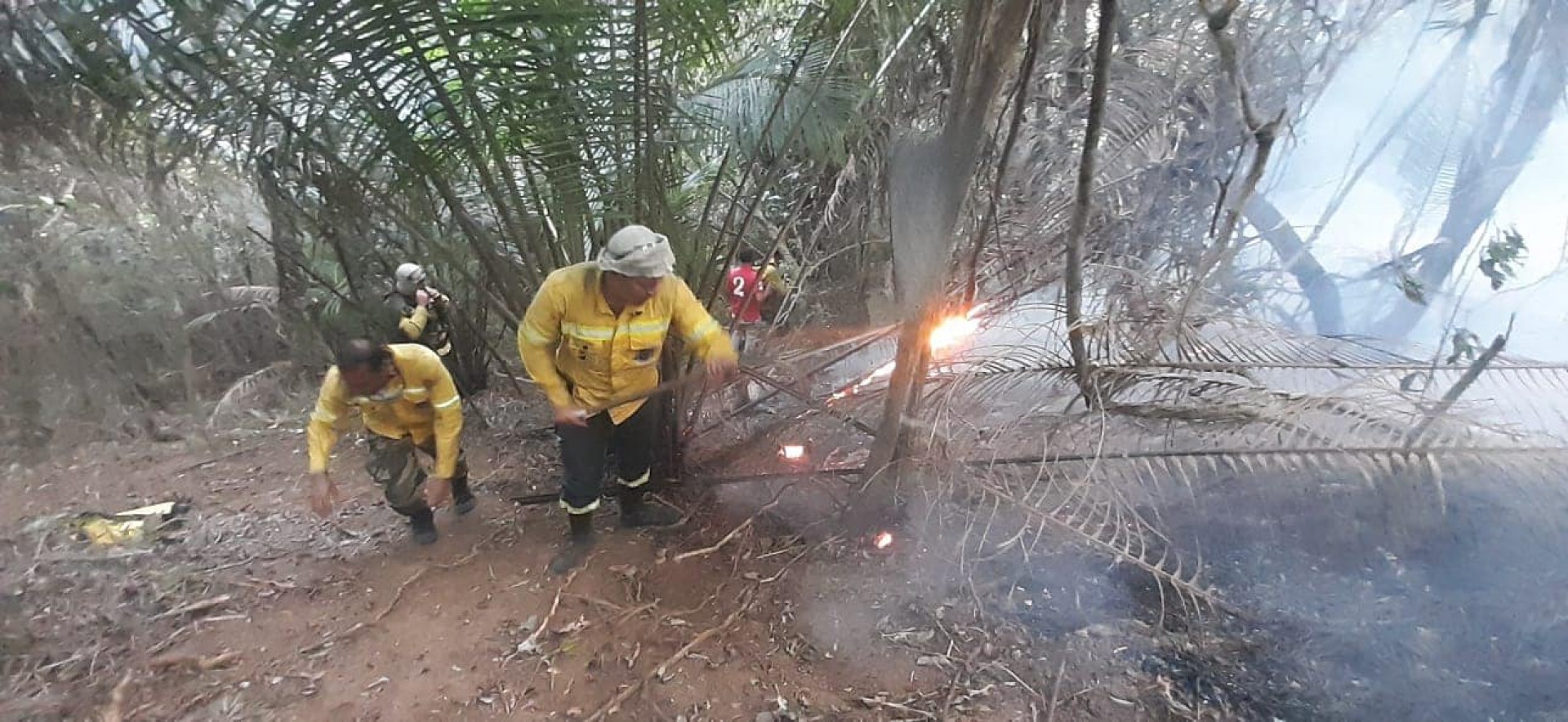 Agentes da Guarda Ambiental de Nova Iguaçu combateram incêndios na mata. - Divulgação