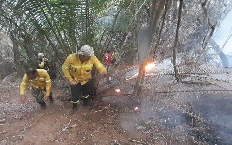 Incêndios em sequência preocupam Guarda Ambiental de Nova Iguaçu