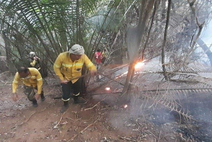Agentes da Guarda Ambiental de Nova Iguaçu combateram incêndios na mata.