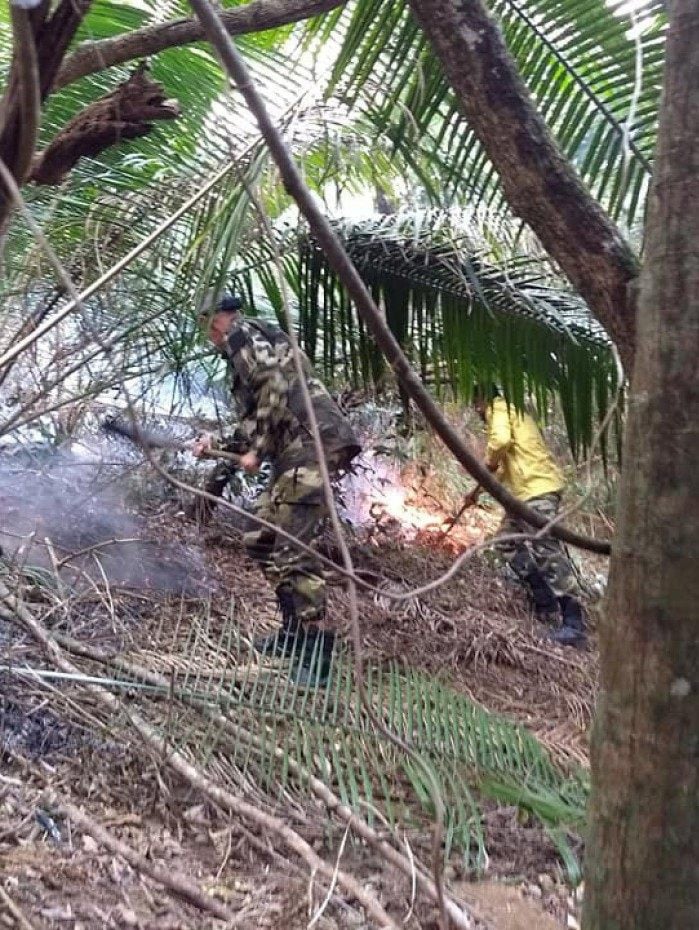 Agentes da Guarda Ambiental de Nova Igua&ccedil;u combateram inc&ecirc;ndios na mata.
