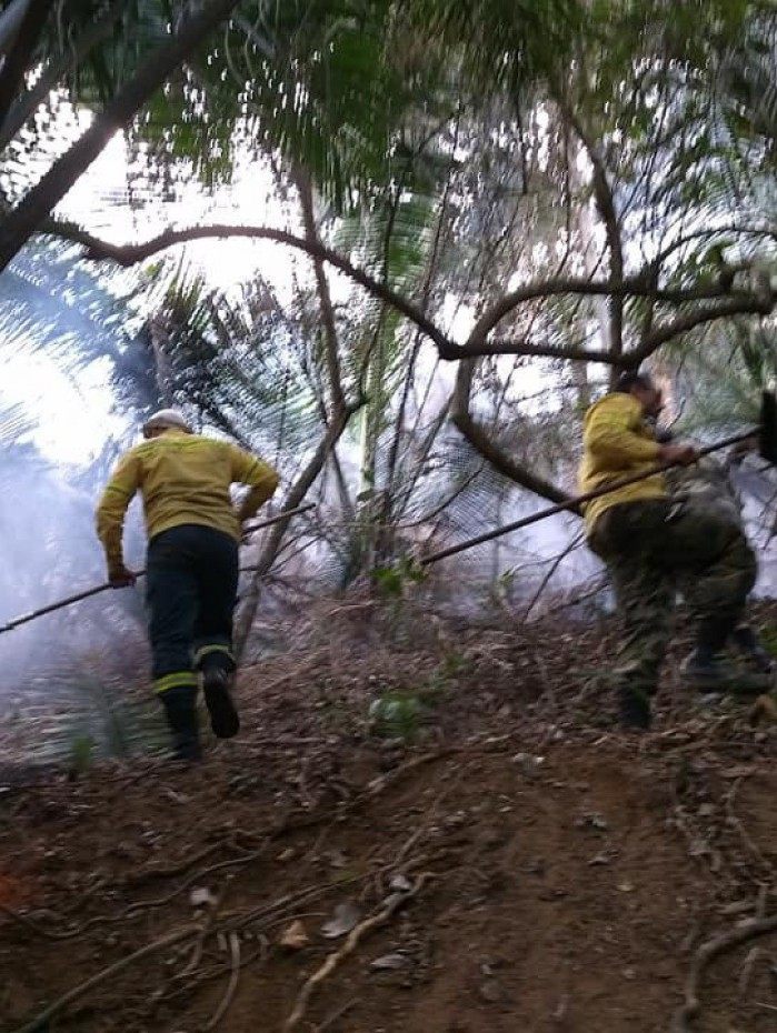 Agentes da Guarda Ambiental de Nova Igua&ccedil;u combateram inc&ecirc;ndios na mata.