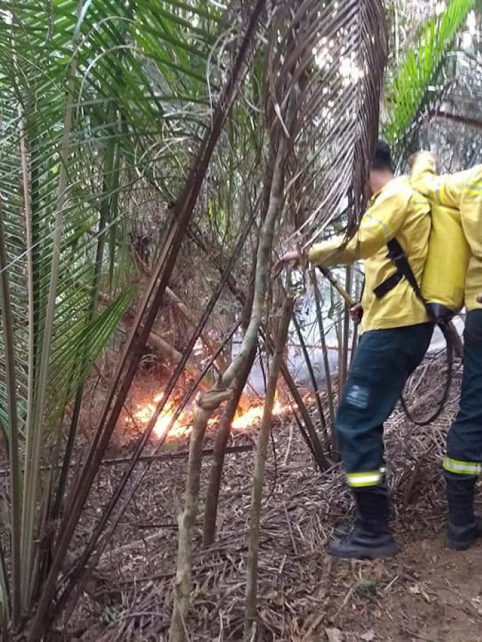 Agentes da Guarda Ambiental de Nova Igua&ccedil;u combateram inc&ecirc;ndios na mata.
