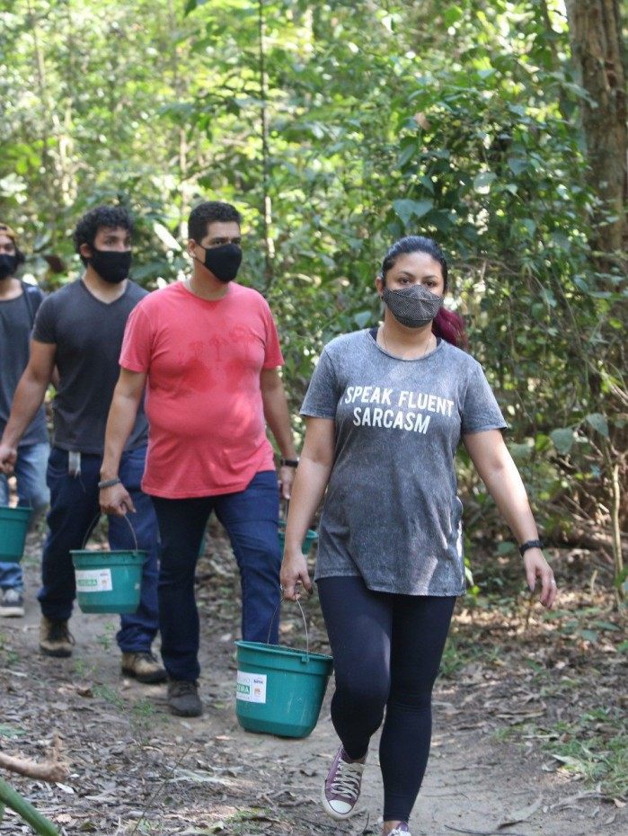 Qualquer pessoa que se identifique com as causas ambientais pode participar do plantio como volunt&aacute;rio. &Eacute; s&oacute; estar &agrave;s 8h30min. da pr&oacute;xima ter&ccedil;a-feira no Parque da Cidade, sede do Parnit.