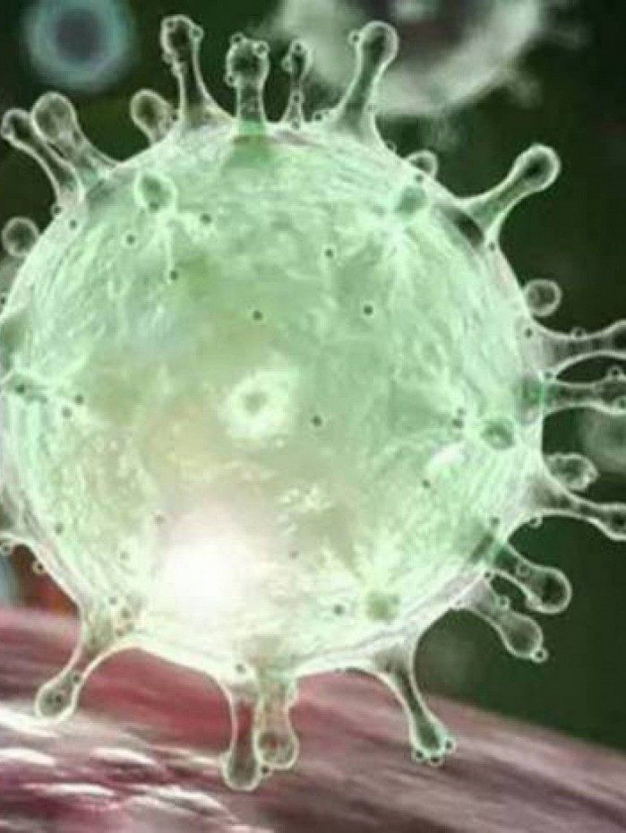 Ao todo, 20.804.215 brasileiros j&aacute; foram infectados pelo v&iacute;rus