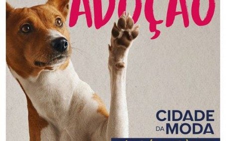 Feira de adoção de animais acontece amanhã, em Nova Iguaçu