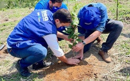 Projeto da Cedae irá plantar um milhão de árvores às margens do Rio Guandu