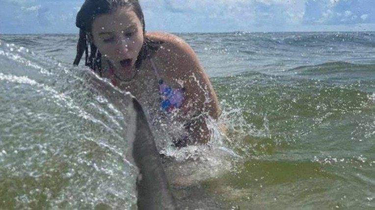 Jovem é surpreendida por tubarão durante sessão de fotos na praia | Mundo e  Ciência | O Dia