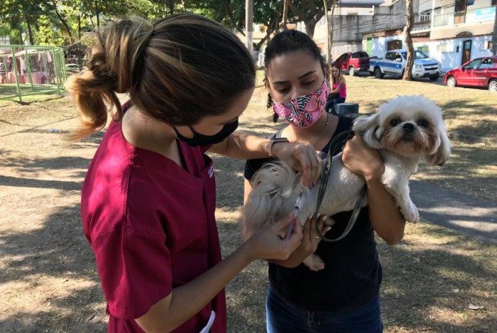 Cidade do Rio iniciou a campanha de vacinação antirrábica neste sábado
