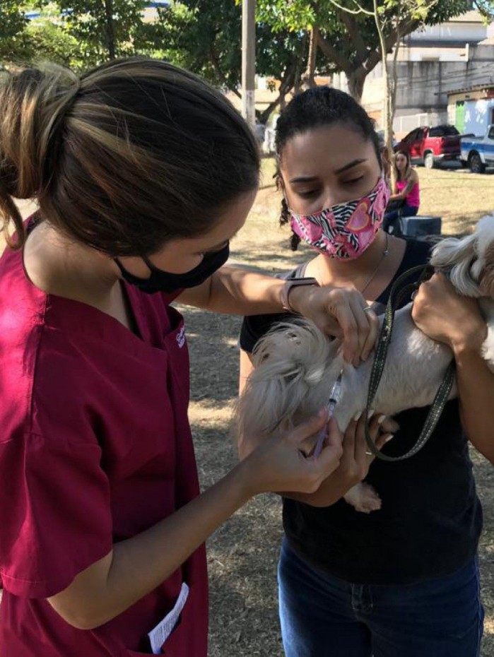 Cidade do Rio iniciou a campanha de vacina&ccedil;&atilde;o antirr&aacute;bica neste s&aacute;bado