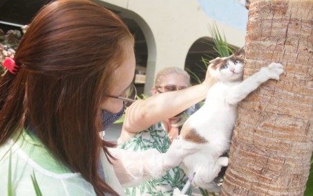 Nova Iguaçu vacinou quase 100 mil animais domésticos contra a raiva