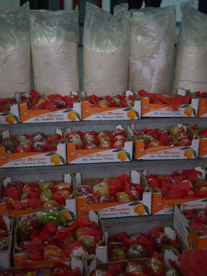 Cocaína estava dentro de mangas e tinha como destino a Europa