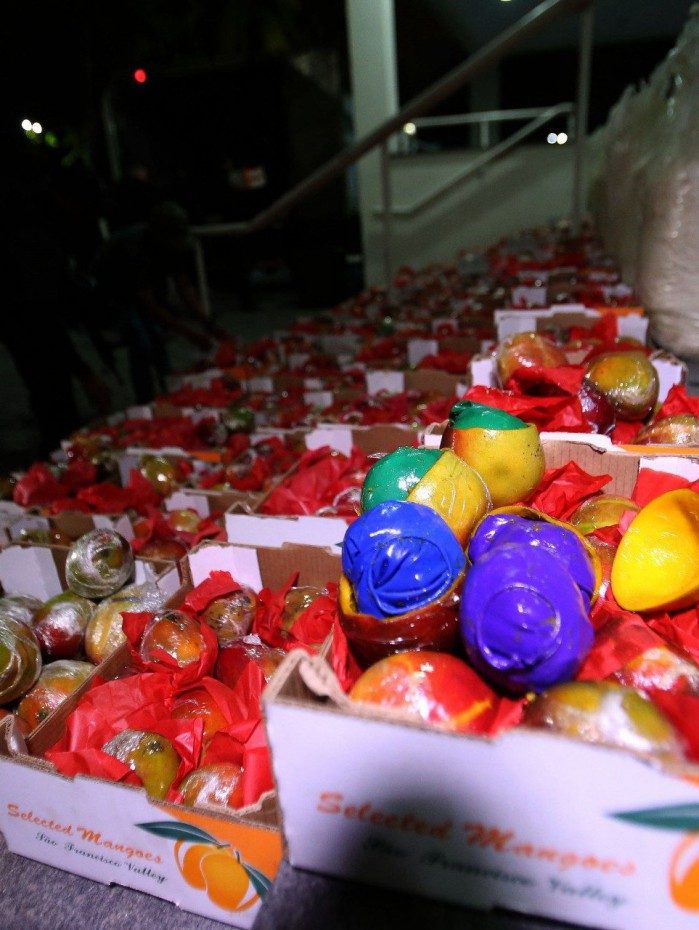 Criminosos escondiam drogas dentro de mangas para enviar &agrave; Europa