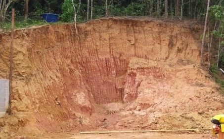 Polícia Militar interrompe atividade de desmatamento em Nova Iguaçu