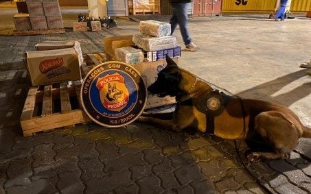 PF apreende drogas em caixas de sabão no Porto do Rio