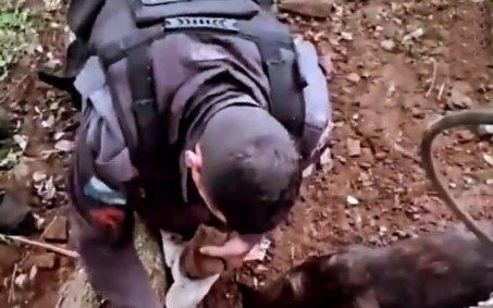 PM de Teresópolis localiza 1,5 kg de drogas com ajuda de cão farejador da Companhia de Cães