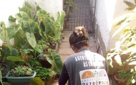 Mais de 450 mil visitas em domicílio já foram feitas por agentes de endemia em Petrópolis