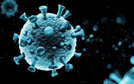 Covid-19: Rio registra 13 óbitos e 650 novos casos nas últimas 24 horas