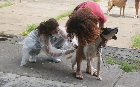 Vacinação Antirrábica continuará até novembro em Nova Iguaçu